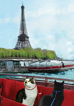 Cats on the Seine