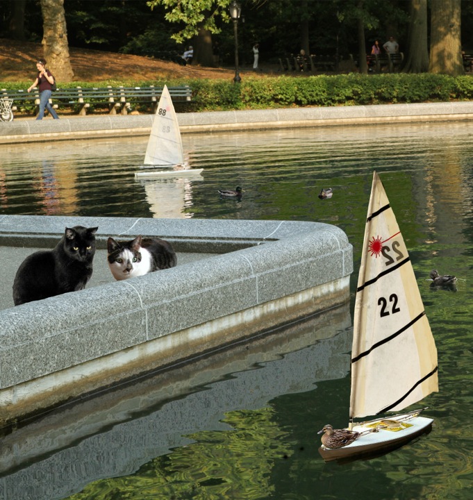 Cats at Conservatory Waters, Central Park